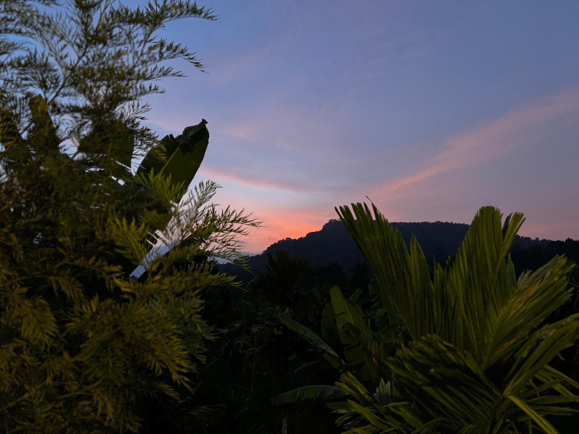 Bendheka - Cliff Front Cottages Coorg Gonikoppal Exterior photo